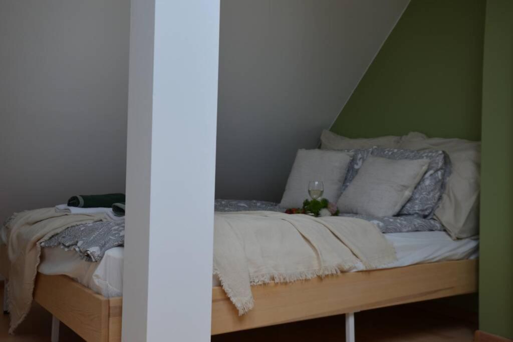 Ines Apartament Two Levels 105M2 In The Old Town Wi-Fi, Olsztyn  Kültér fotó